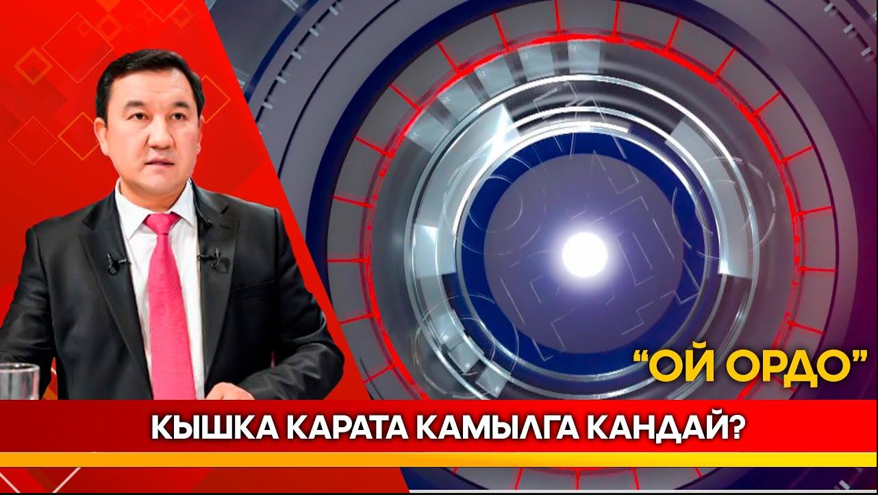 Кышка карата камылга кандай? // ОЙ ОРДО