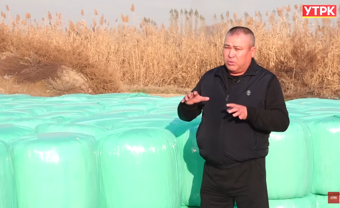 Чыктуу тоют даярдап, чарбасын чар тарапка тааныткан чарбакер