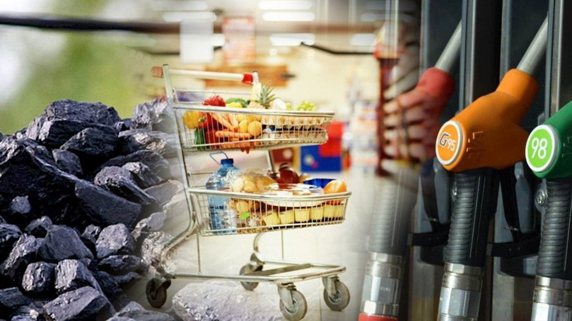 Көмүр, бензин жана азык-түлүктүн баалары дыкат көзөмөлдөнөт