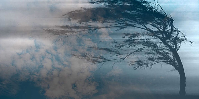 Шашылыш билдирүү: Бишкек жана Чүй өрөөнүндө катуу шамал катталат