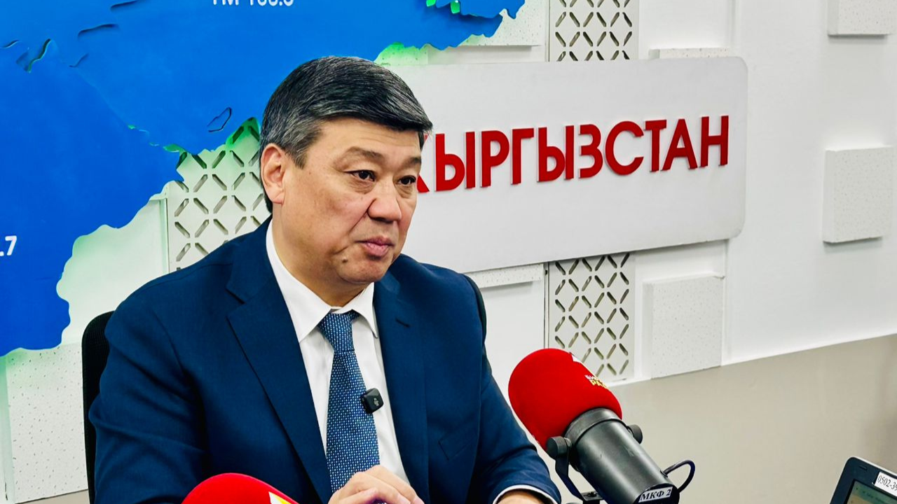 Жаңы технология менен 100 гектар жерге тери иштеткен завод курулат