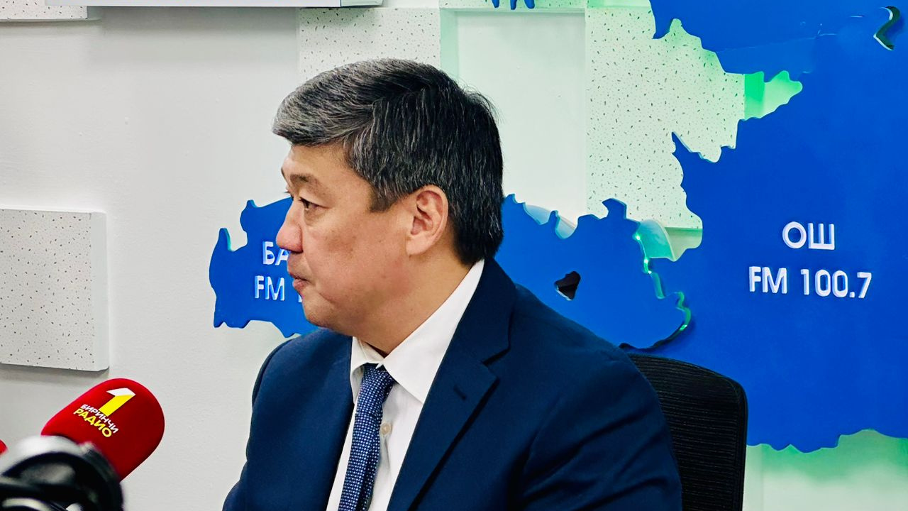 Идп 10,2% өстү: Айыл чарба кургакчылыкка туруштук берди 