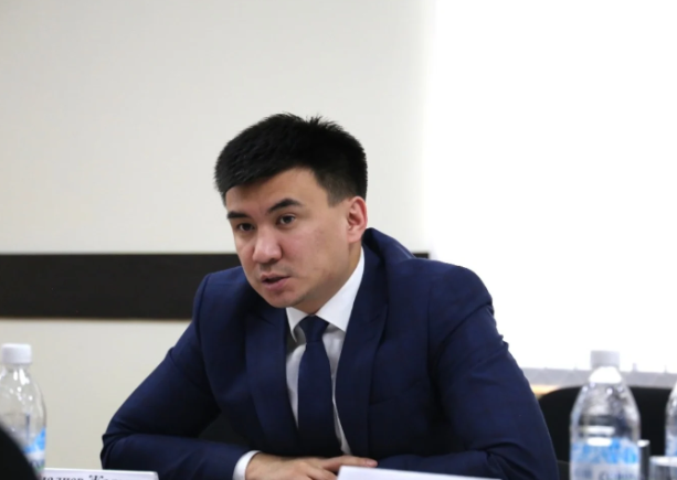 Кыргызстан ири инвесторлор үчүн узак мөөнөттүү виза киргизүүнү карап жатат