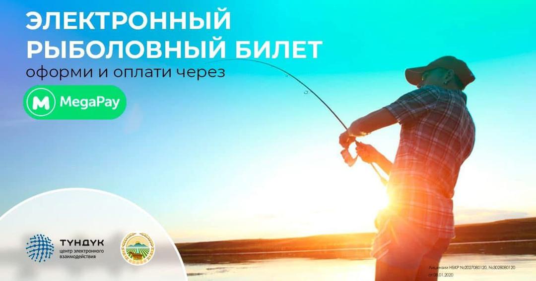 Кыргызстанда балык чарба тармагында санариптик системалар ишке киргизилди 