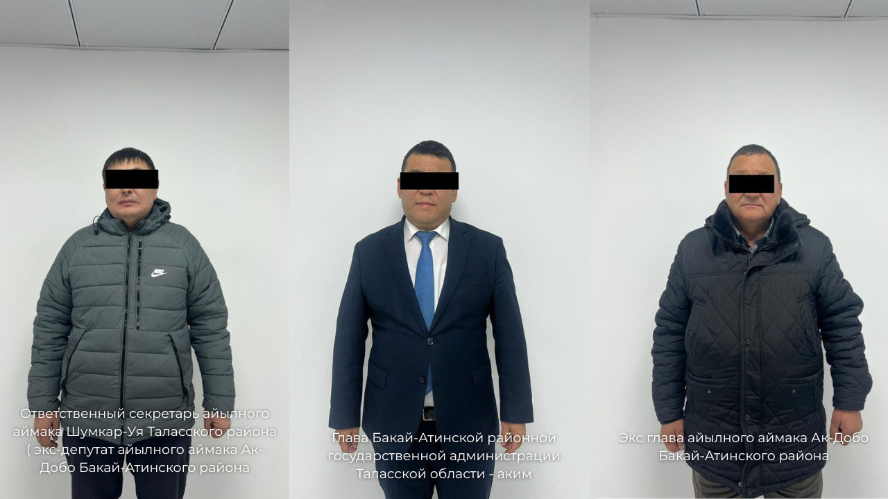 Токойду тоноп, жерди бөлүшкөн: Бакай-Атада аткаминерлер кармалды