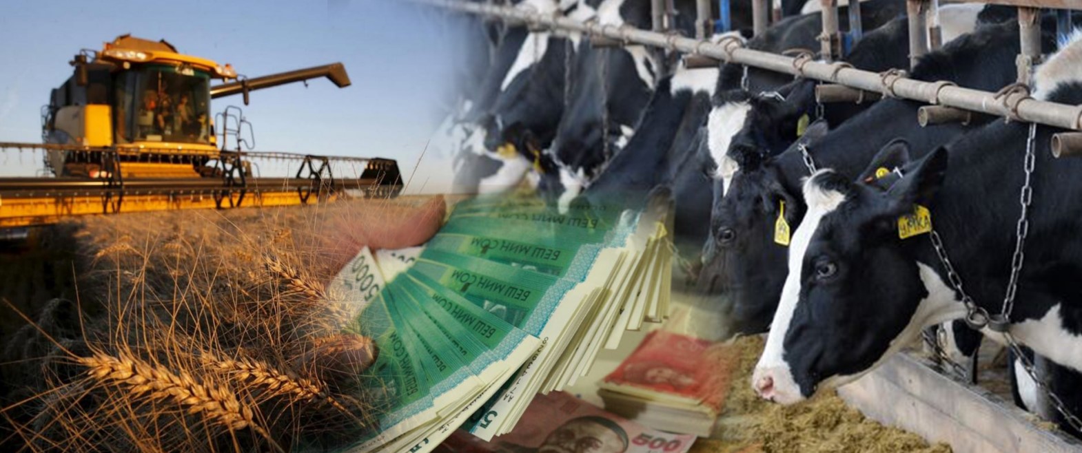 Берилген насыя - өнүккөн айыл чарба