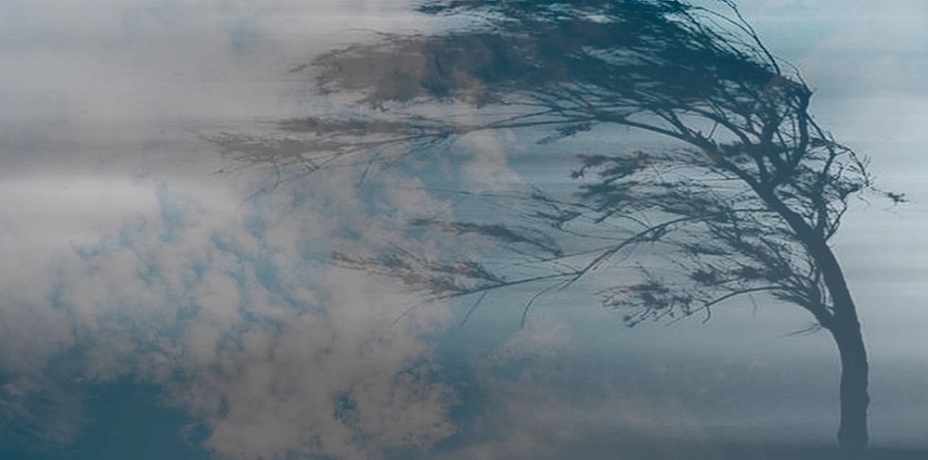 Шашылыш билдирүү: Бишкек жана Чүйдө катуу шамал күтүлөт