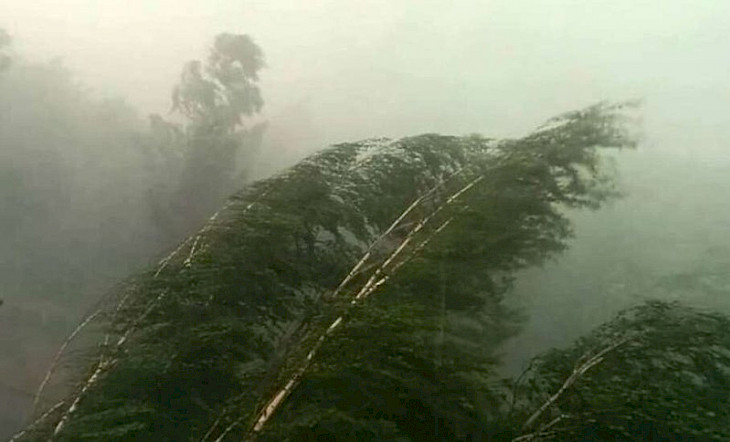  Бишкек жана Чүйдө катуу шамал күтүлүүдө