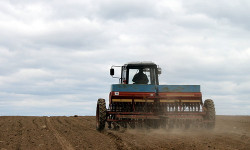 Быйыл жазгы эгин себүү планы 1,25 млн гектарга жетет