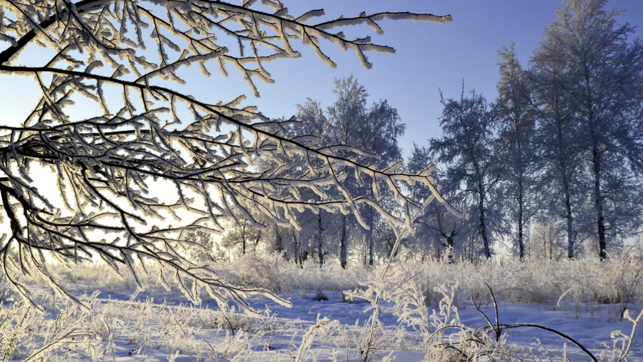 Эртең кайсы аймактарда кар жаайт?