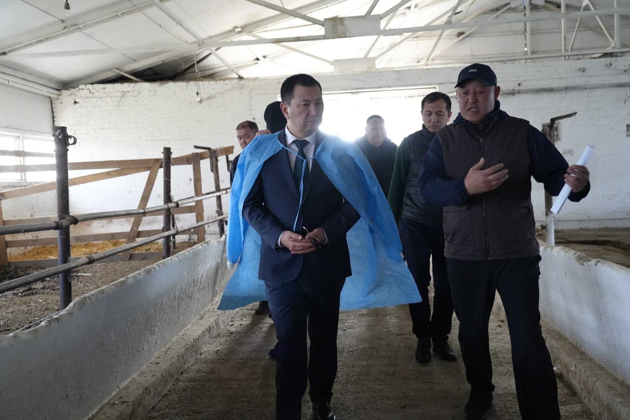 Сокулуктагы асыл тукум заводун реконструкциялоо пландалууда