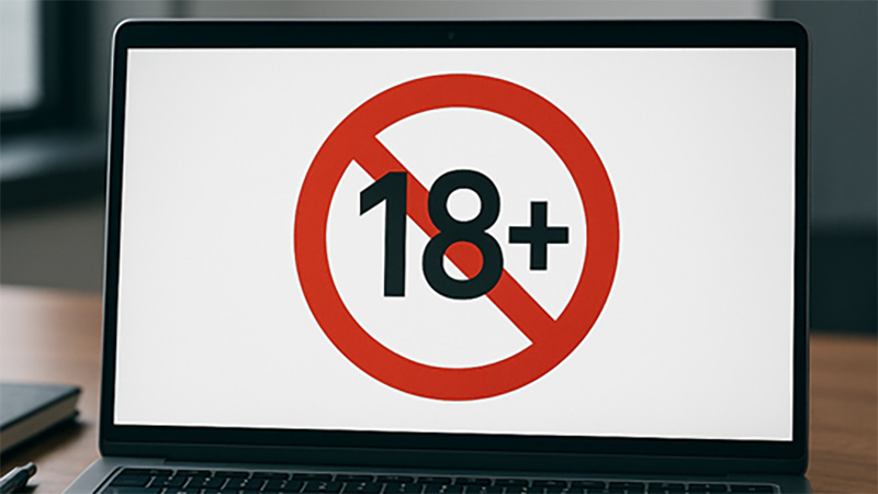 Кыргызстанда порнографиялык сайттарды бөгөттөө тартиби бекитилди