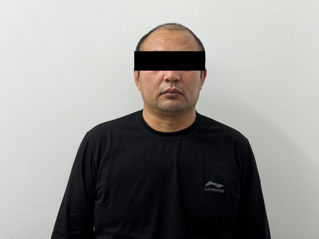 Таласта мал уурулукка шектелип, издөөдө жүргөн жаран кармалды