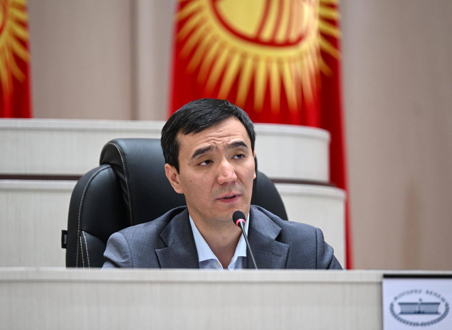 ЖКнын биринчи вице-спикери Медербек Алиев "Кызмат" мамлекеттик мекемесинин ишин жогору баалады