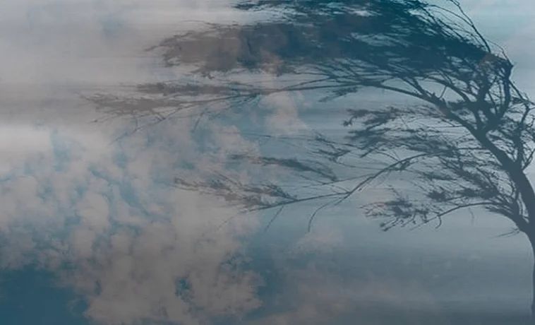 Шашылыш билдирүү! Катуу шамал болот!