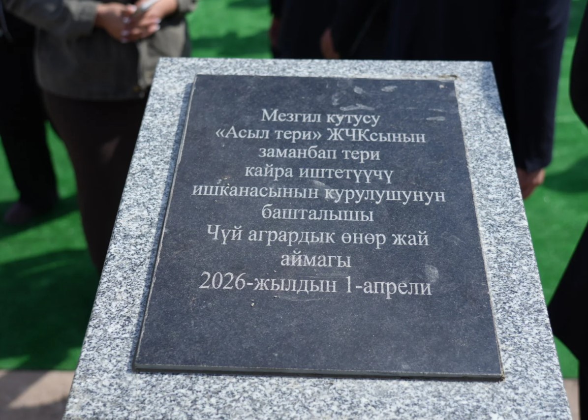 Чүйдө 12 млн долларлык тери заводу курула баштады