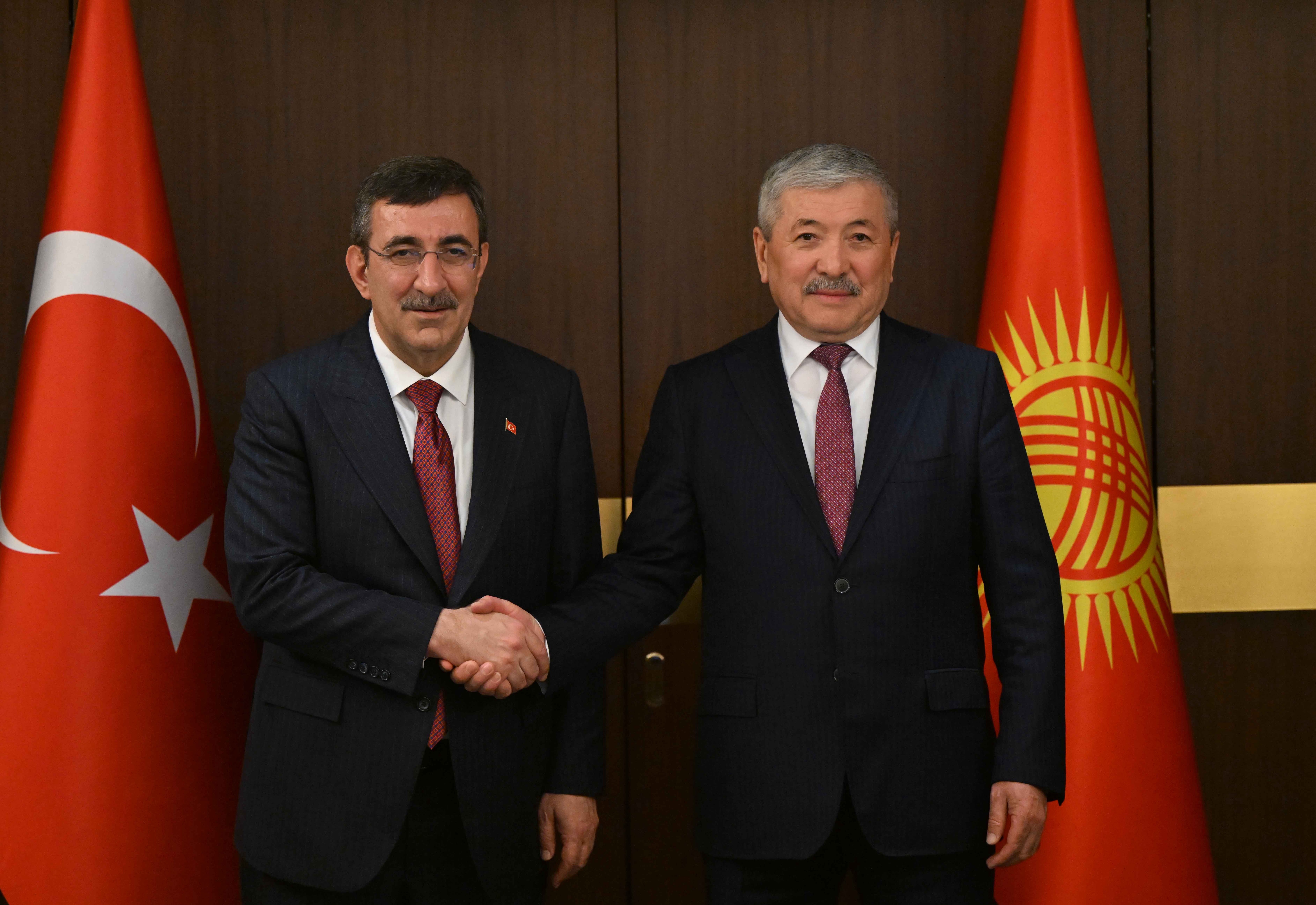 Адылбек Касымалиев Түркиянын вице-президенти Жевдет Йылмаз менен жолугушту