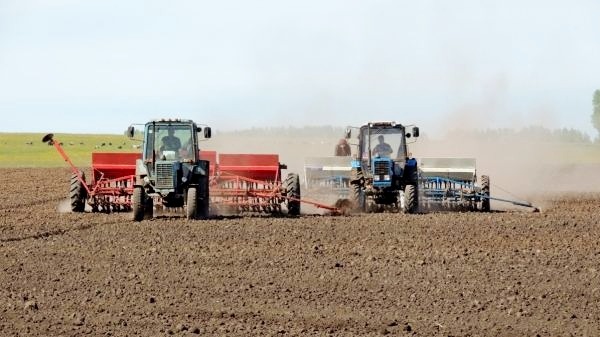 Нарында айдап-себүү иштери башталды