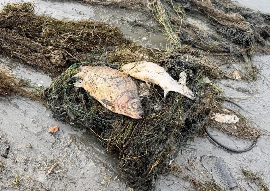 Ысык-Көлдө 4,5 чакырымга жакын тор жыйналды