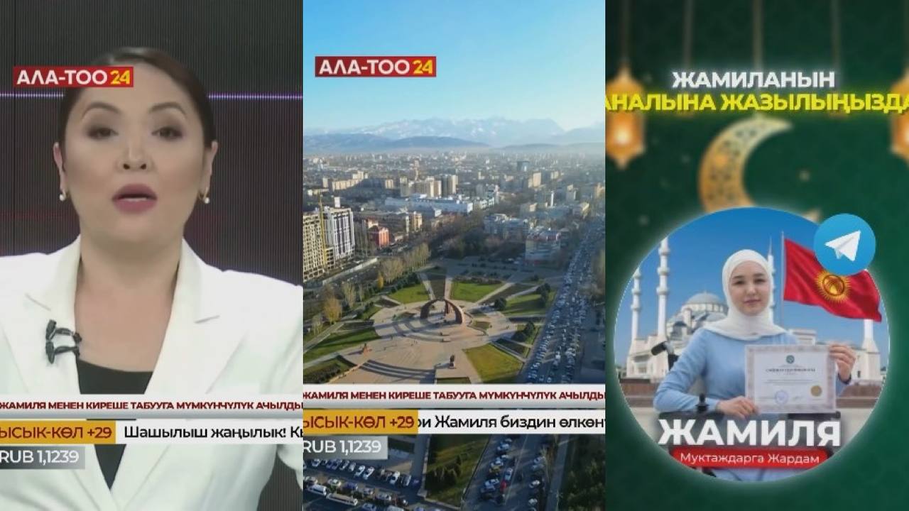 Ишенбеңиз!!!  "Ала-Тоо" программасынын логотиби жана алып баруучусунун видеосу колдонулган жалган жарнама тарады