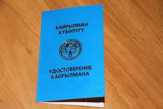 Кыргызстанда 387 этникалык кыргызга кайрылман статусу берилди