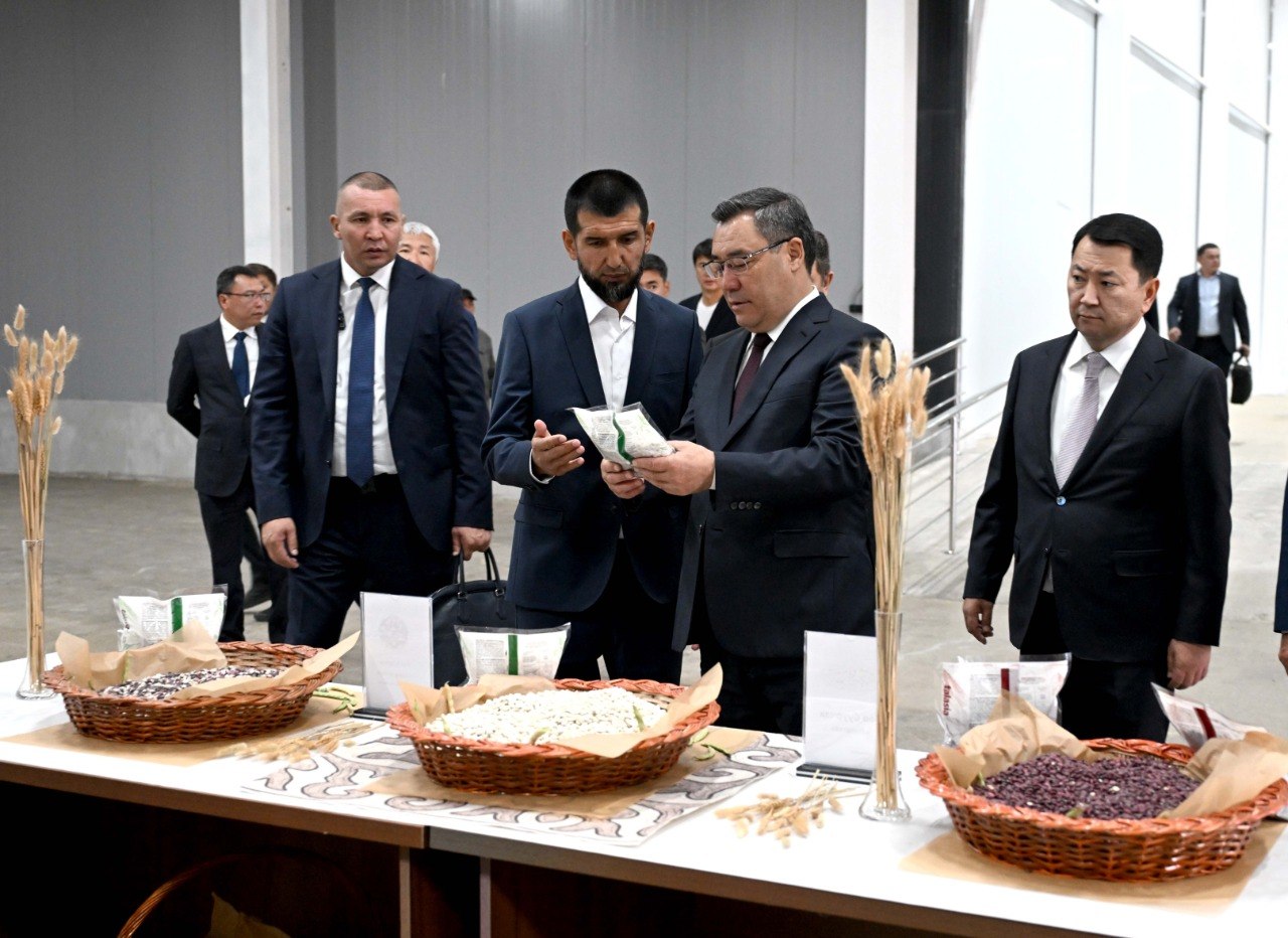 Президент Талас облусунда төө буурчакты кайра иштетүүчү ишкананы жана өлкө боюнча бир эле учурда 60 өнөр жай объектисин ишке киргизди
