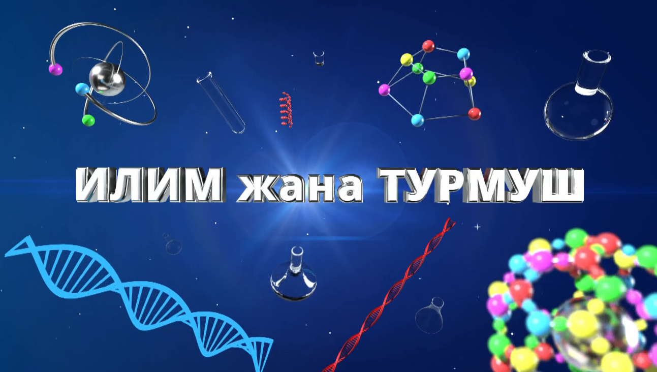 Илим жана турмуш